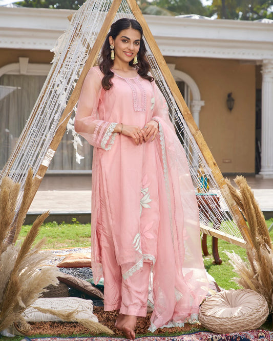 Applique Organza Kurta Set