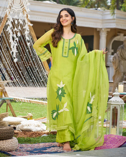 Daai Organza Kurta Set